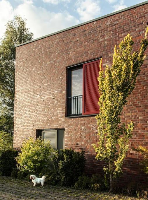 Schickes Wohnstudio Mit Garten Am Aasee Ibbenbueren Exterior photo